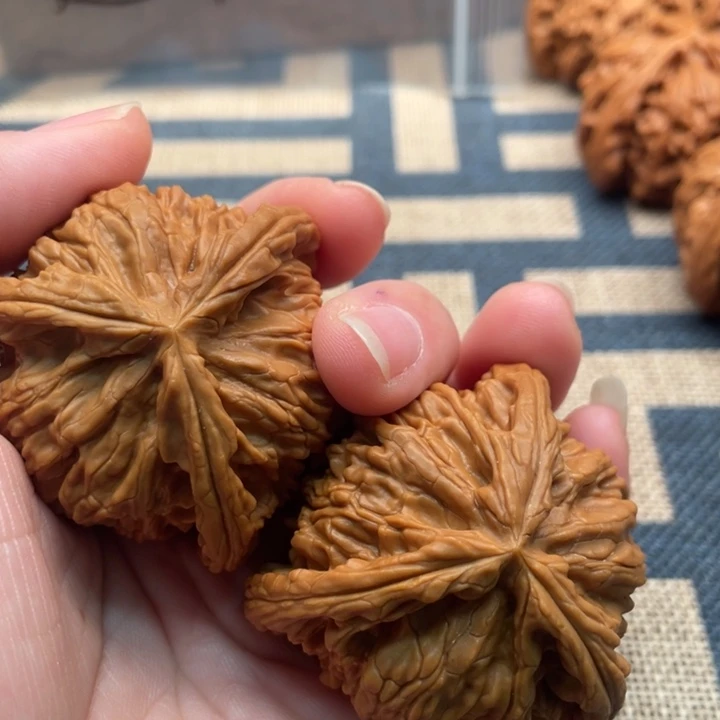 洋***核桃白狮子47核桃