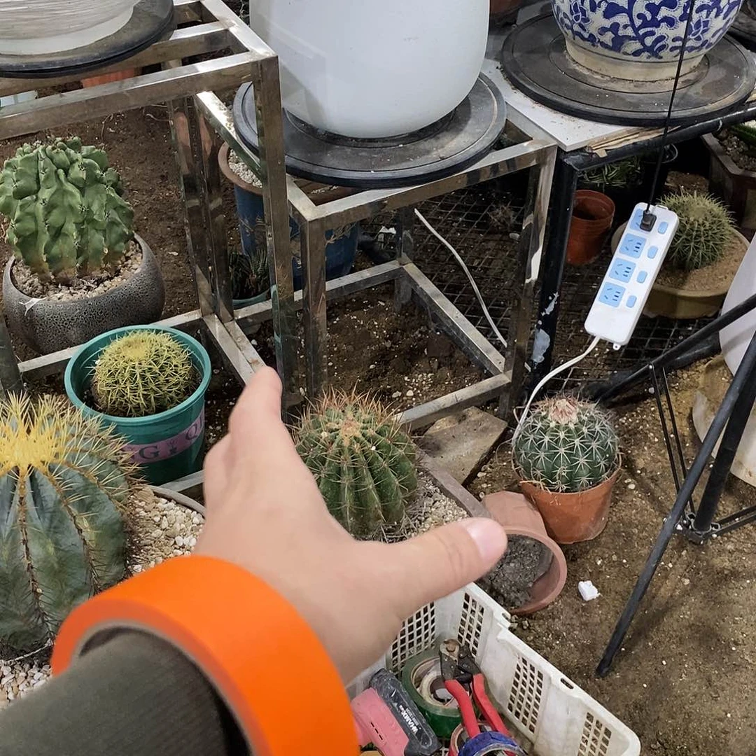 不***酱小虎一个。