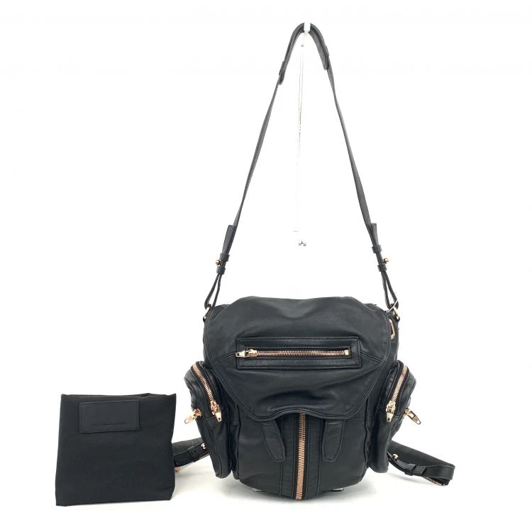 包包/ALEXANDER WANG/95新/C1361265138/[251119SYNC]