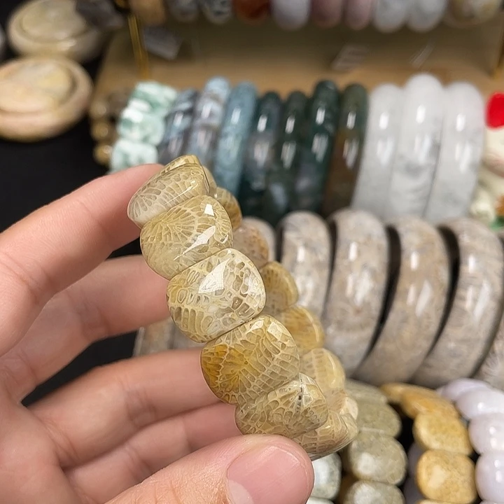 硅化珊瑚（珊瑚玉）未镶嵌手链龙骨