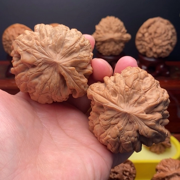 核桃麻核桃龙鼎56