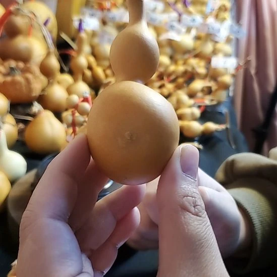 精挑葫芦—10车—财包蚂蚁