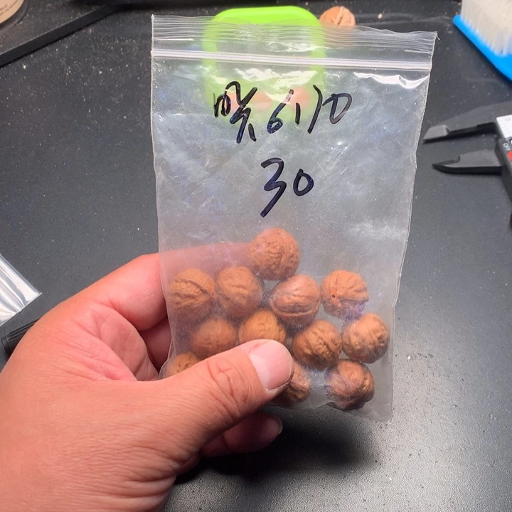 文玩核桃吊坠咔****0野生精品小核桃散籽