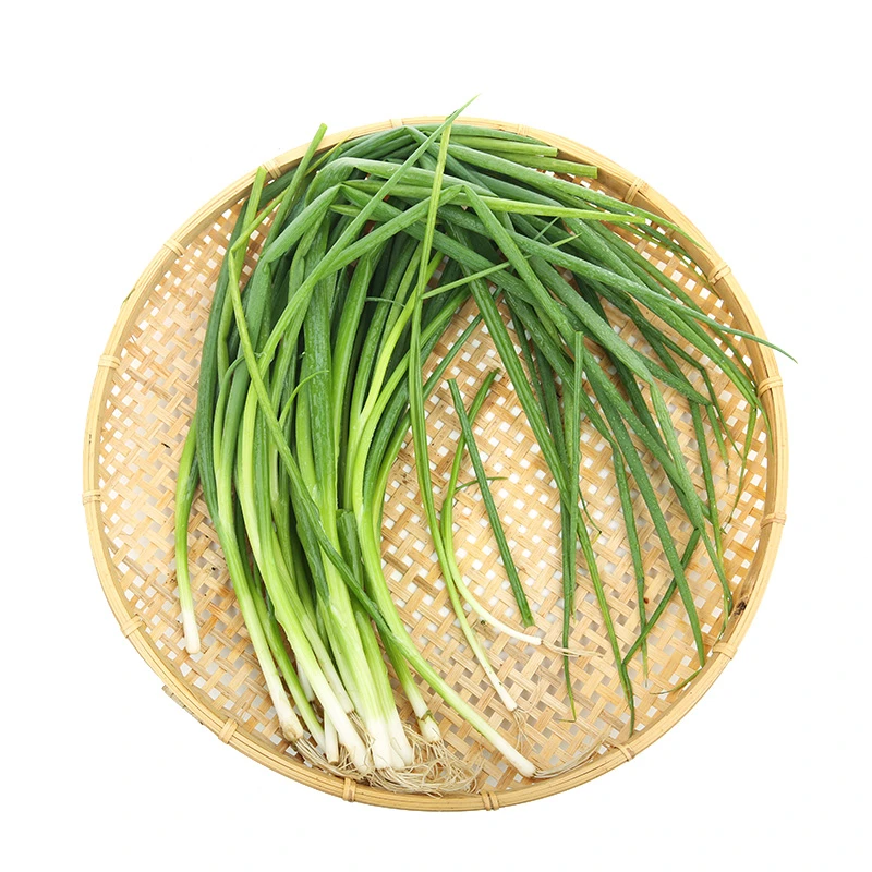 每日鲜香葱 约200g