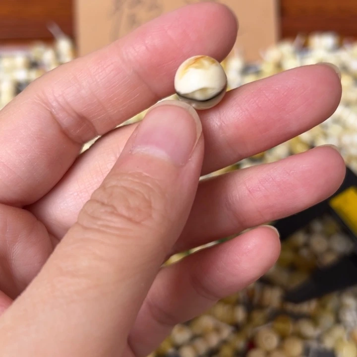 蜜蜡未镶嵌裸石10.9mm一个