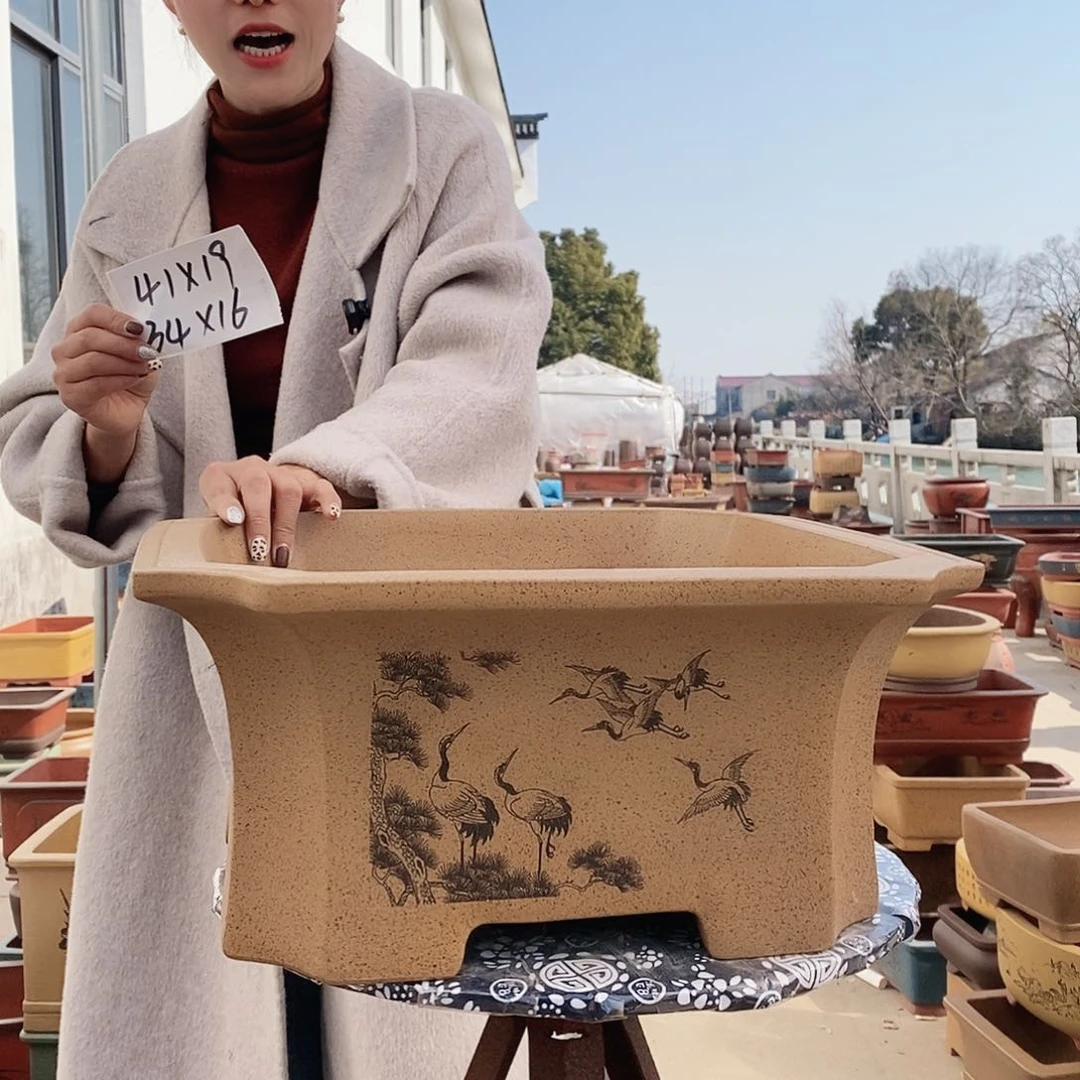 紫砂花盆紫砂花盆