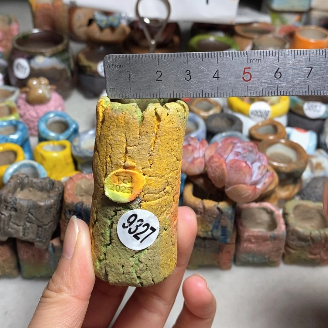 拍3送一个小礼物