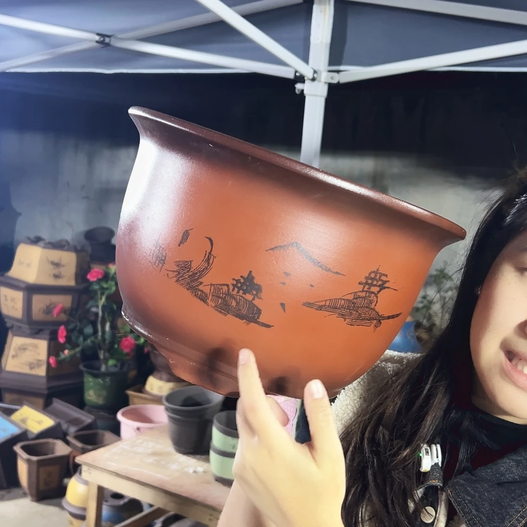 35紫气东来花盆花盆花盆