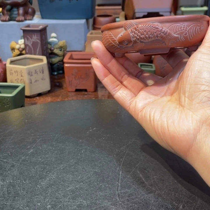 紫砂花盆在哪啊在