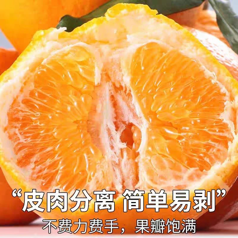 粑粑柑约3斤装