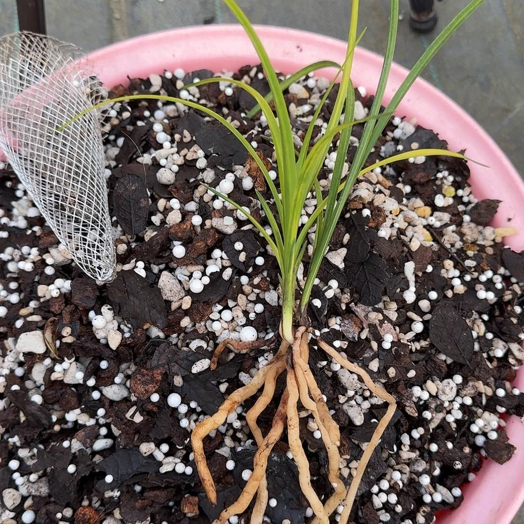 1***@完全开放6985214773658