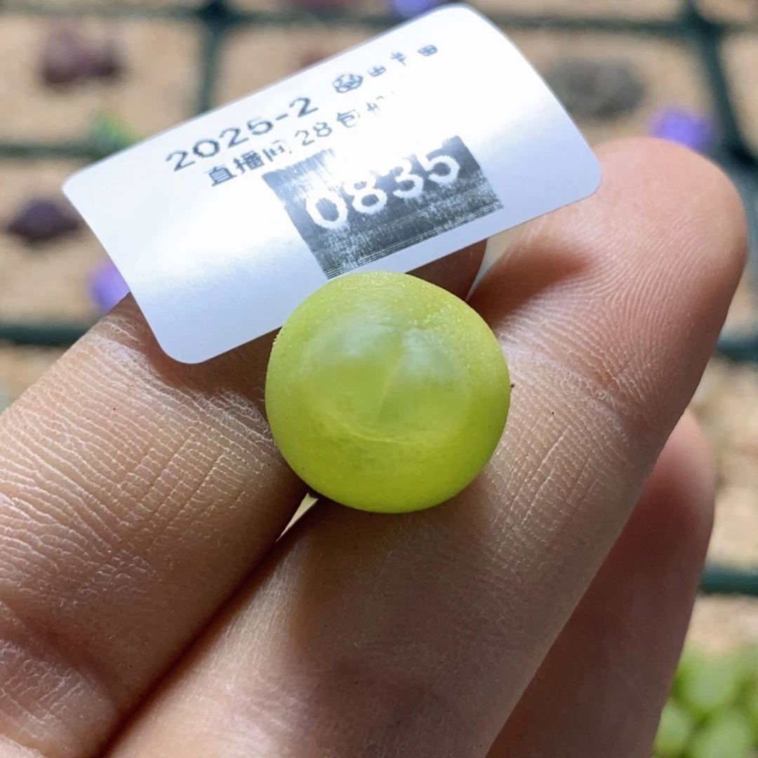 ****2-0835h k h k h k