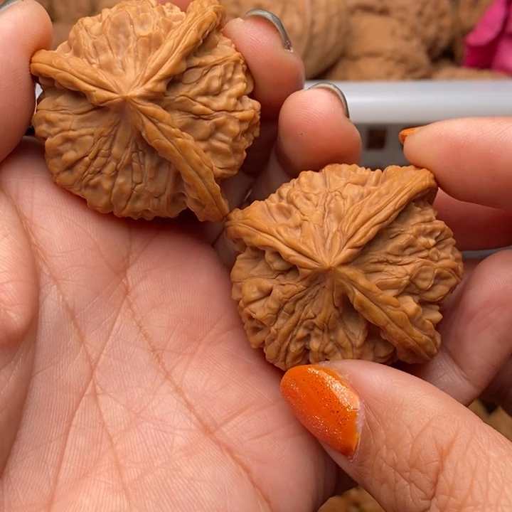 文玩核桃把件野生龙爪三棱41尺核桃