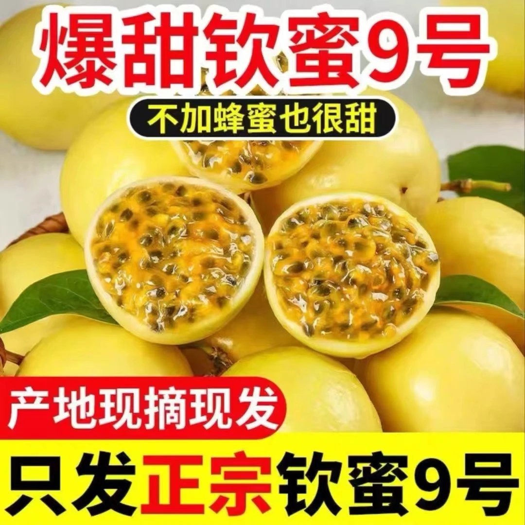 正宗钦蜜9号黄金百香果香甜多汁新鲜应季水果送开果器T