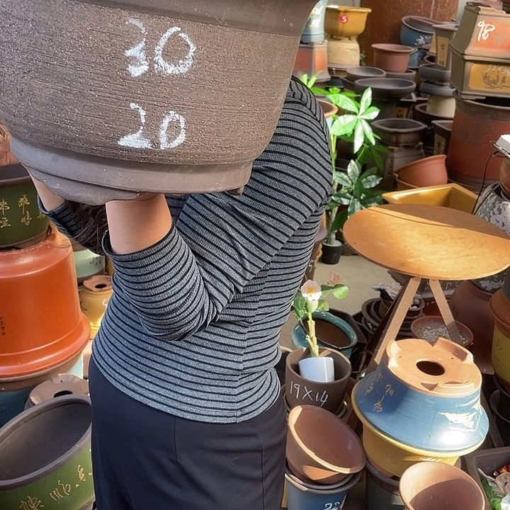 30拉毛小马花盆紫砂花盆