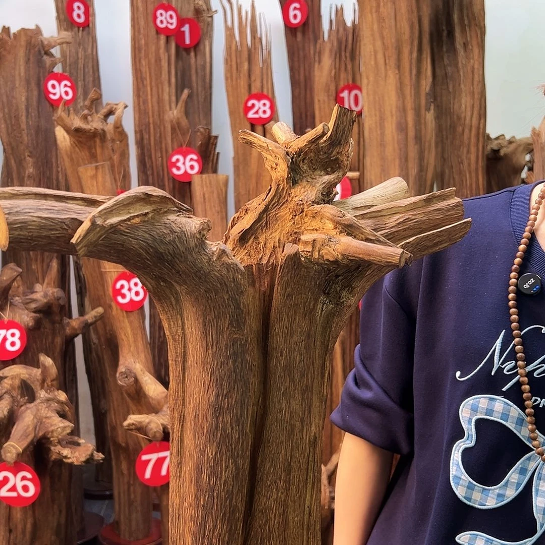 东***海沉香碎屑沉香天然沉香原材料高品质