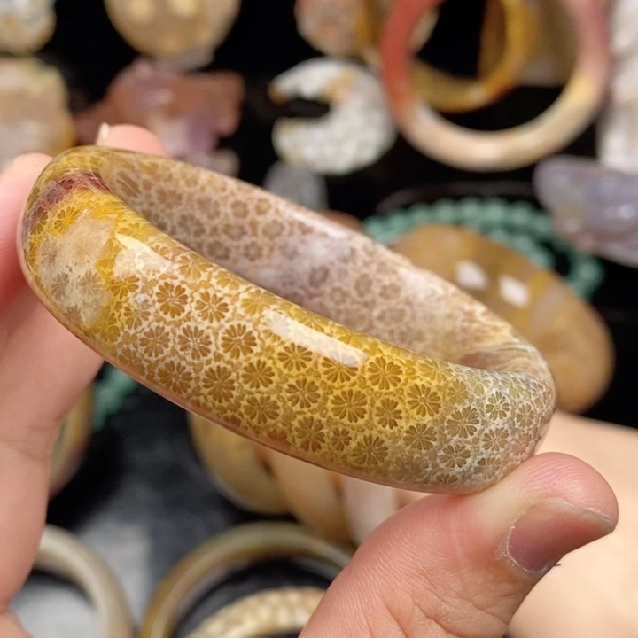 提***苏未镶嵌手镯硅化玉