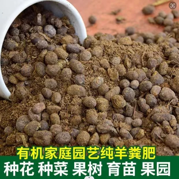 TJ内蒙古纯羊粪有机发酵颗粒肥花卉种植肥