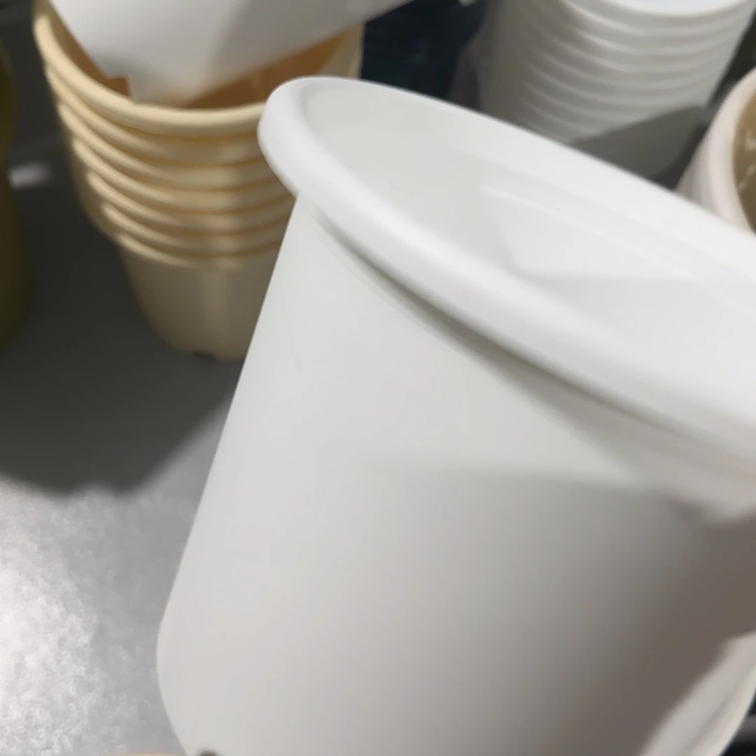 树脂四季6号无托7个，白，微瑕