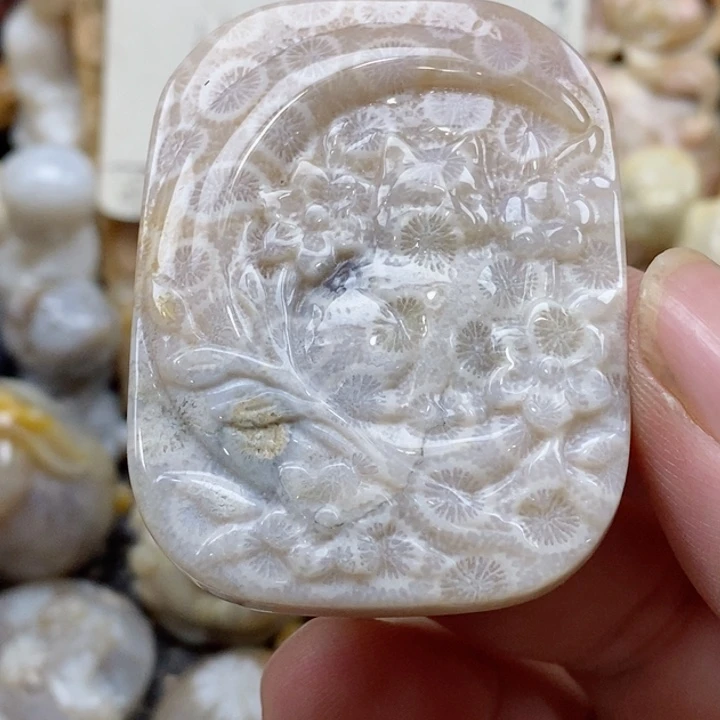 颈饰未镶嵌硅化珊瑚（珊瑚玉）