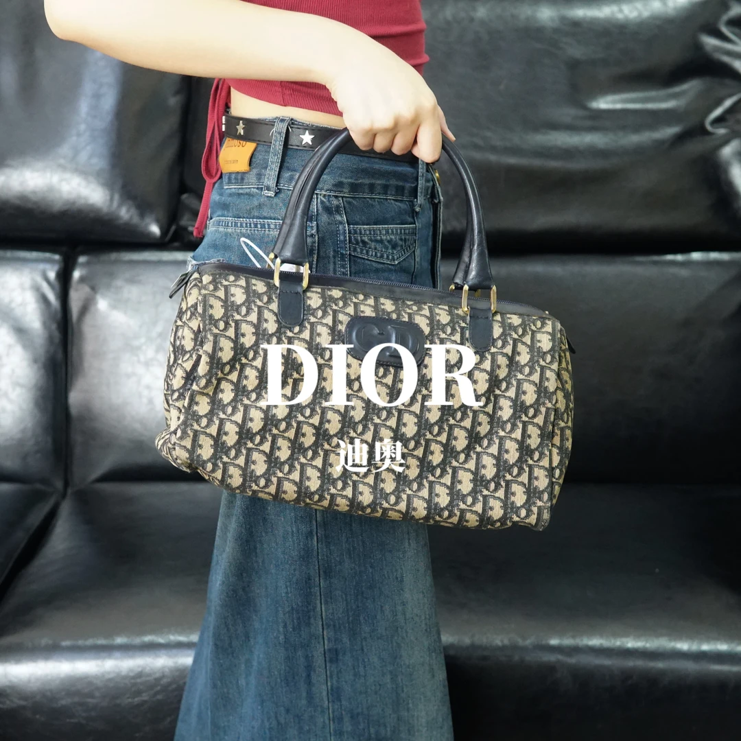 95新 DIOR/迪奥 老花枕头包/WJ06715040/5040