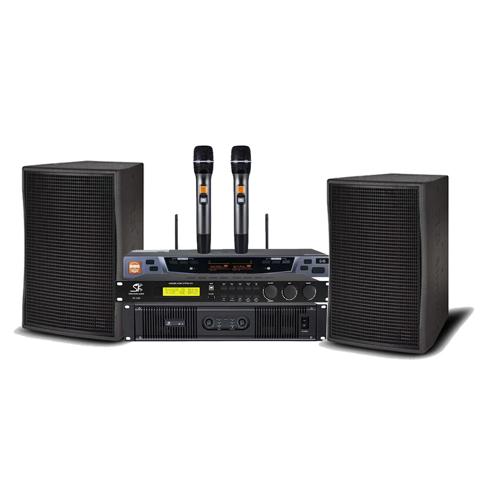 SingKing专业DQ12音响组合带功放带效果器带无线麦克风