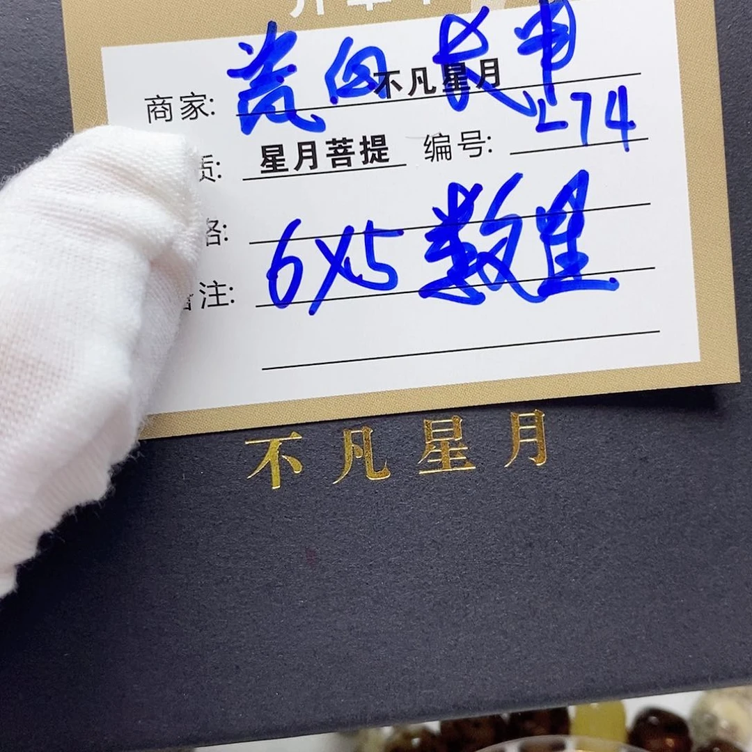 星月菩提吊坠11112222L74