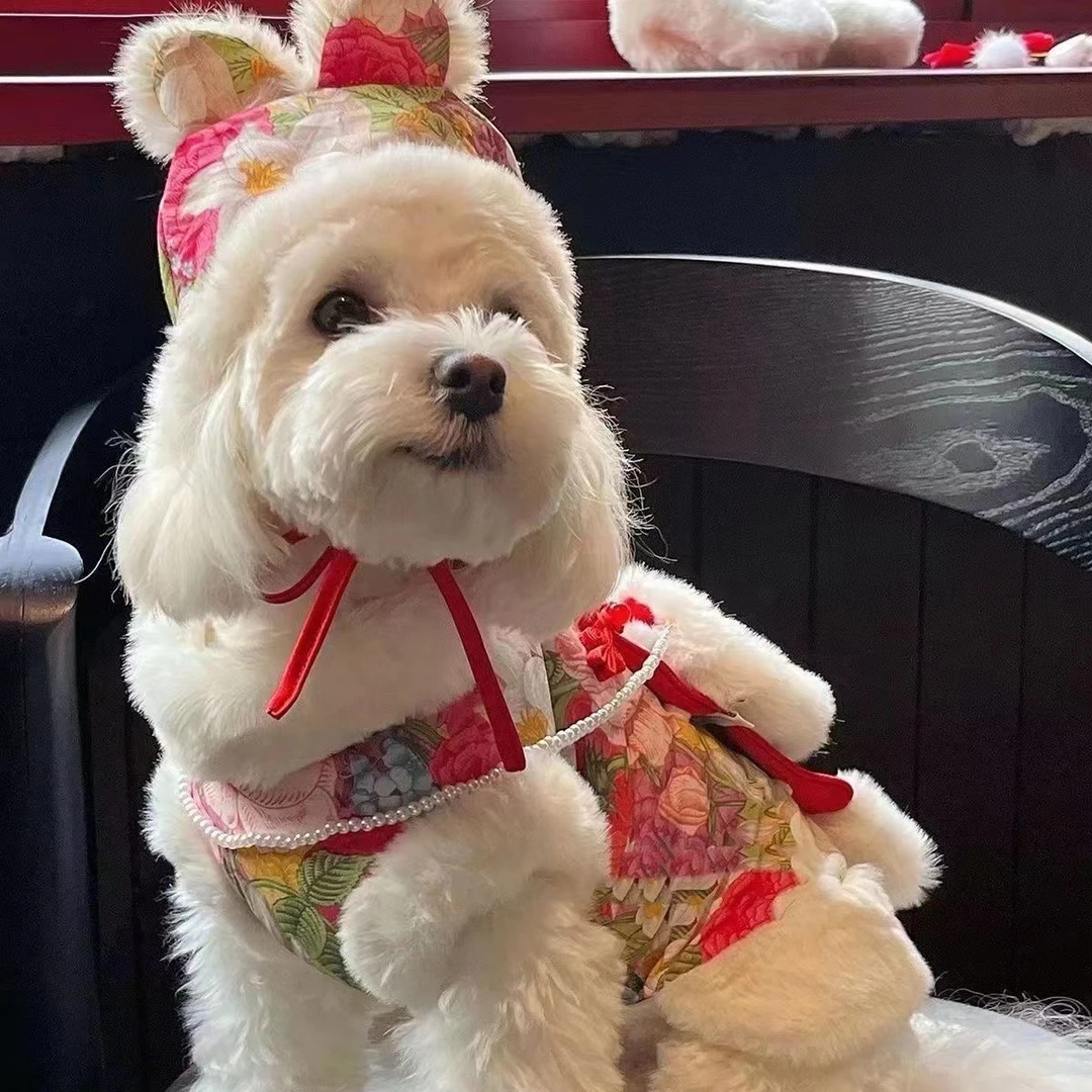 唐装新年装新款宠物衣服泰迪比熊猫狗加厚棉服粉色保暖加绒两脚