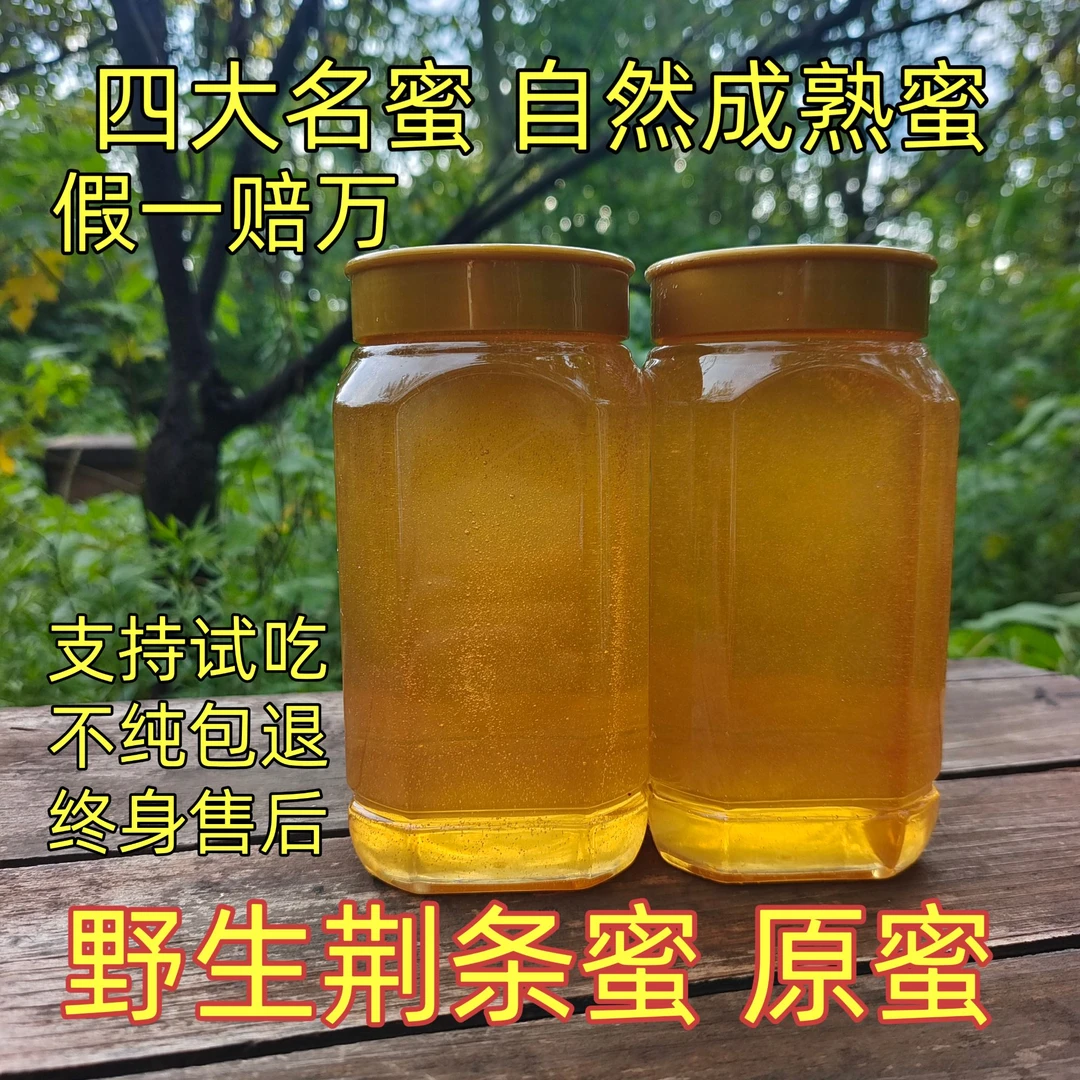 荆条蜜纯正天然深山蜜源蜂场直发自然成熟蜜荆条蜜药花蜜生蜂蜜