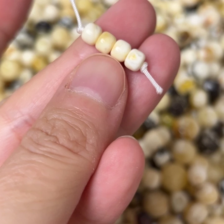 蜜蜡未镶嵌裸石5.1mm一组