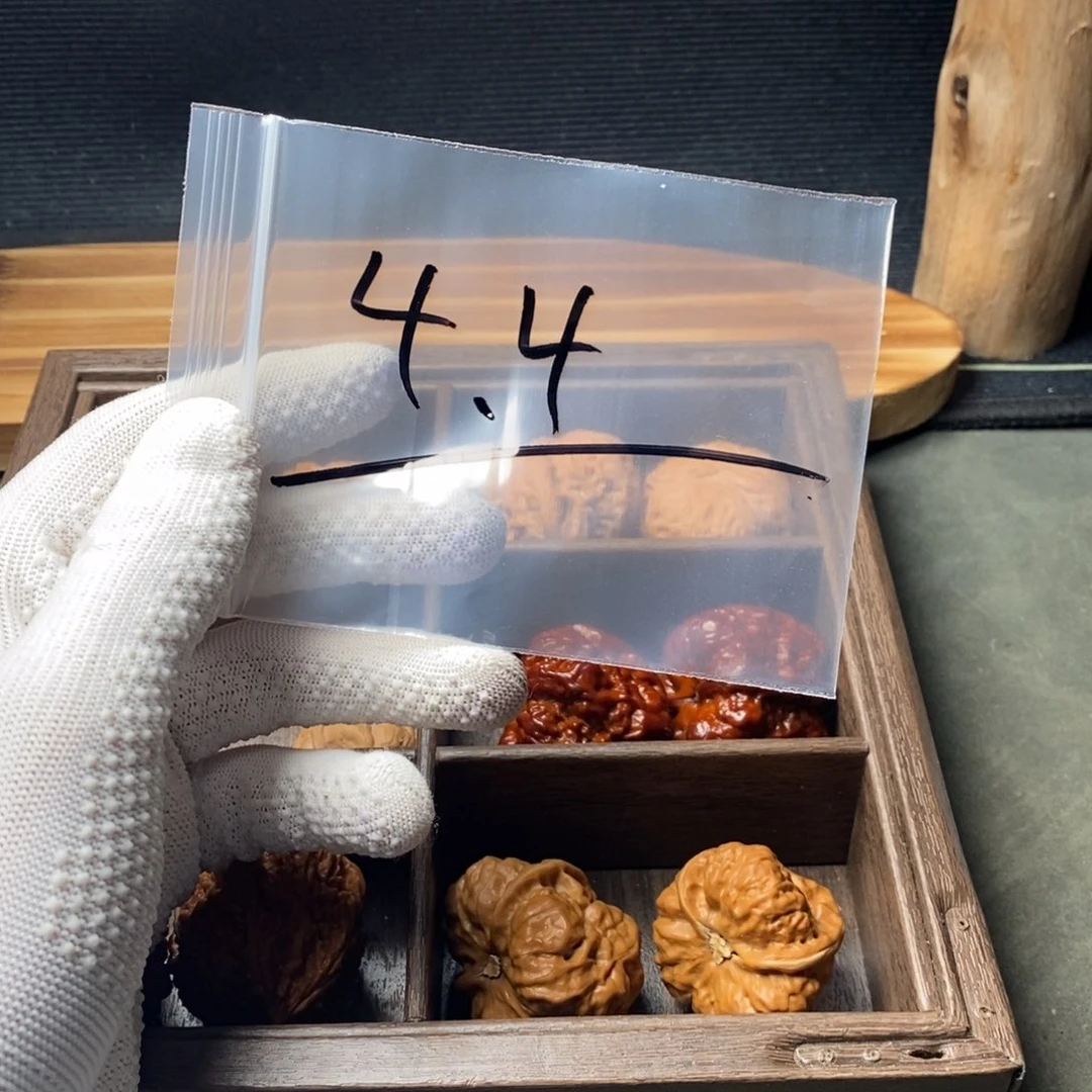 核桃等经济林果的食物都