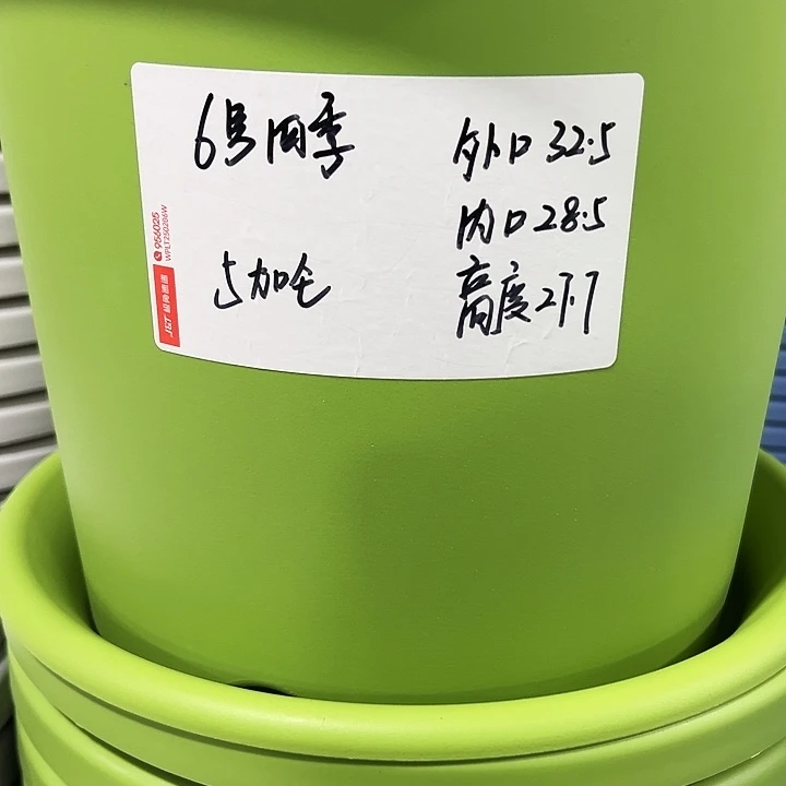 特价6号口32.5高27白色7只无托