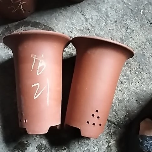 小红兰花两个微瑕