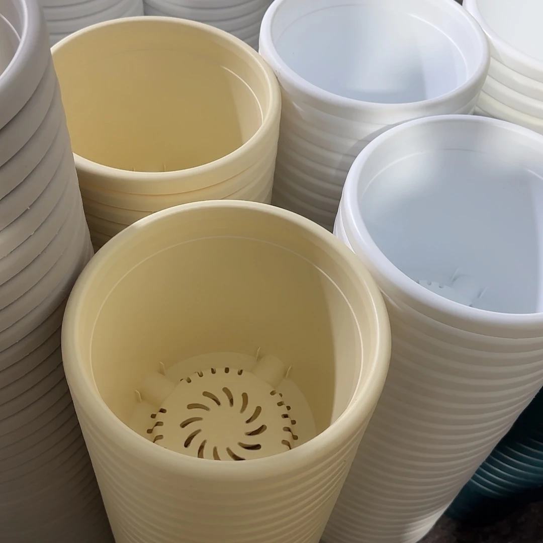 树脂球根2无托6个米黄