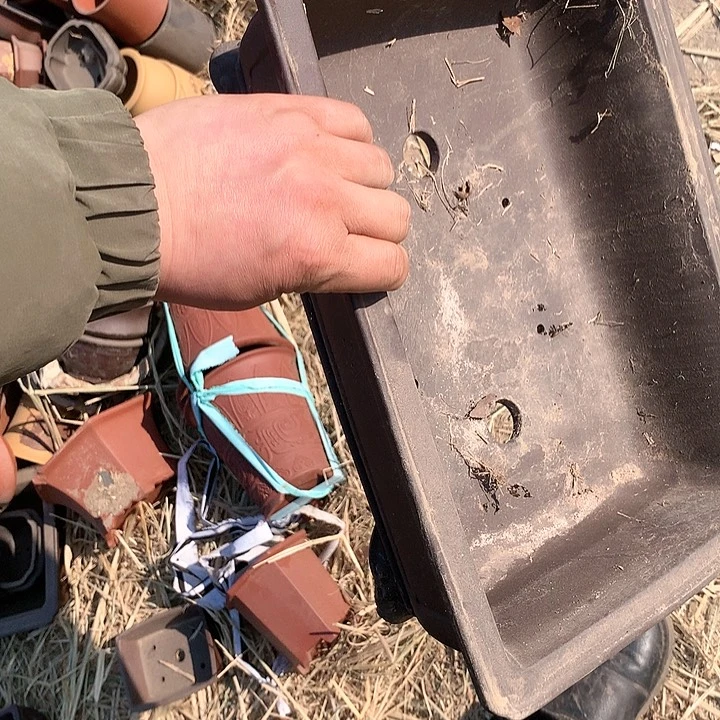 紫砂优秀青年的生活习惯真的