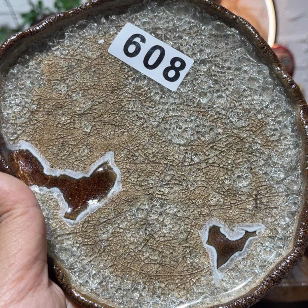 木村信弘柴烧保平