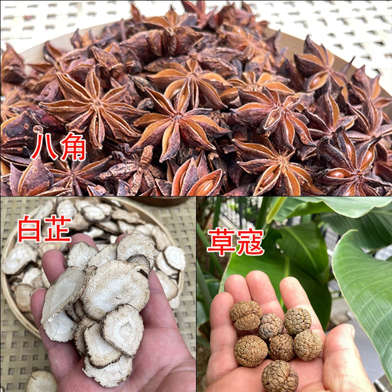 炖肉卤肉香料组合装（八角+白芷+草寇+肉蔻）大料调味料