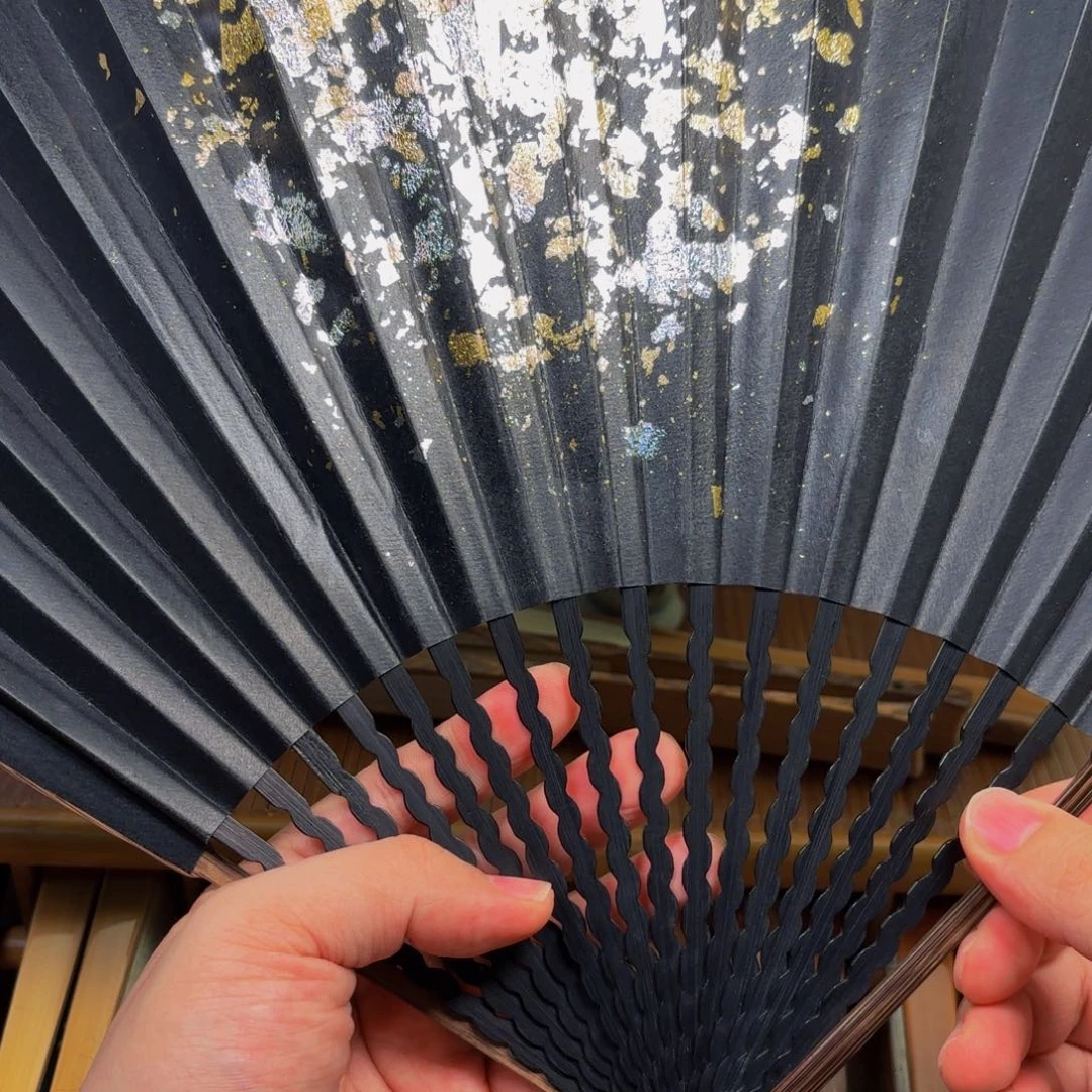 扇子爆炸金龙鳞棕竹