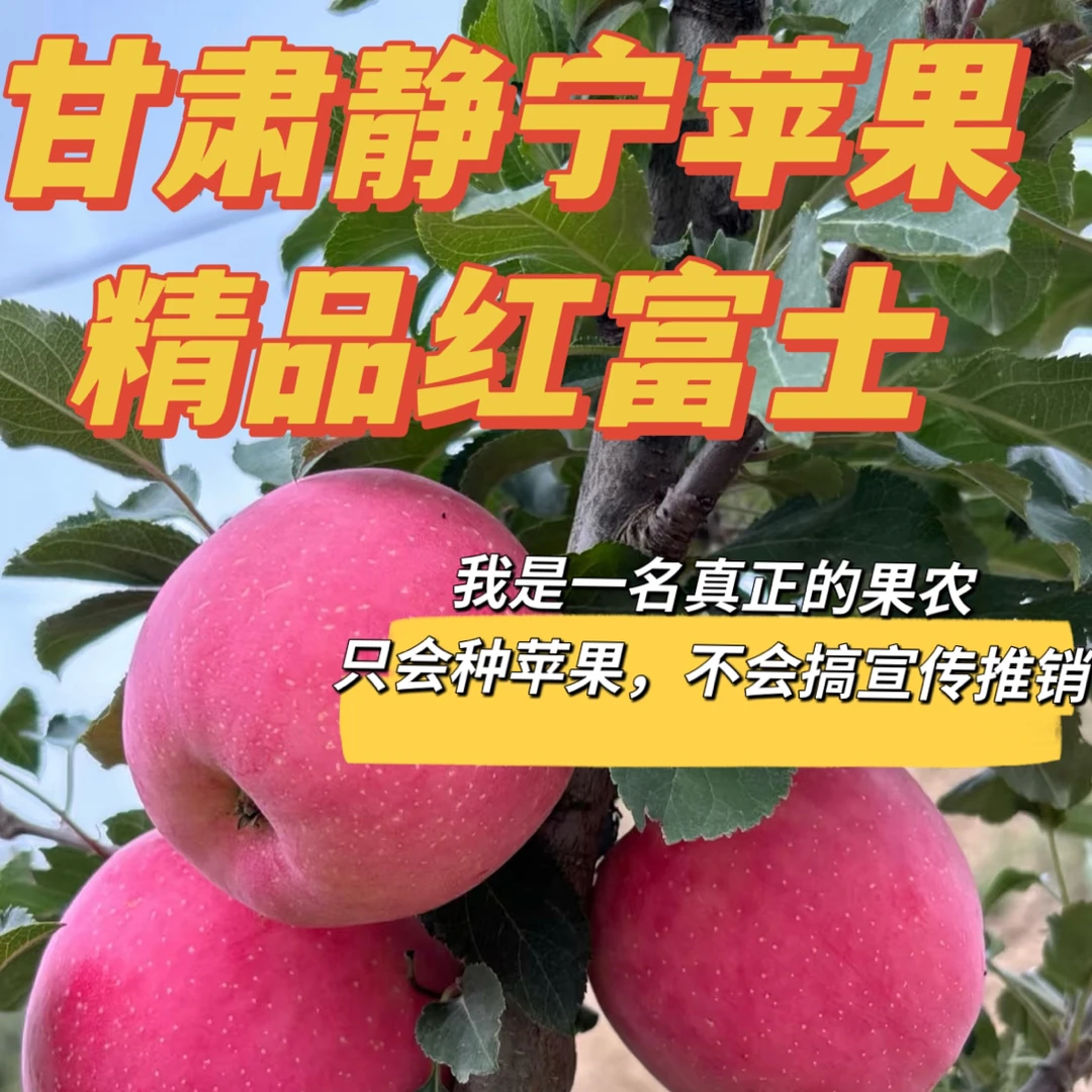 正宗甘肃静宁苹果精品红富士产地直销现摘现发甘肃静宁红富士苹果