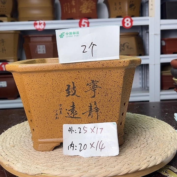 紫砂花盆蛇年大吉