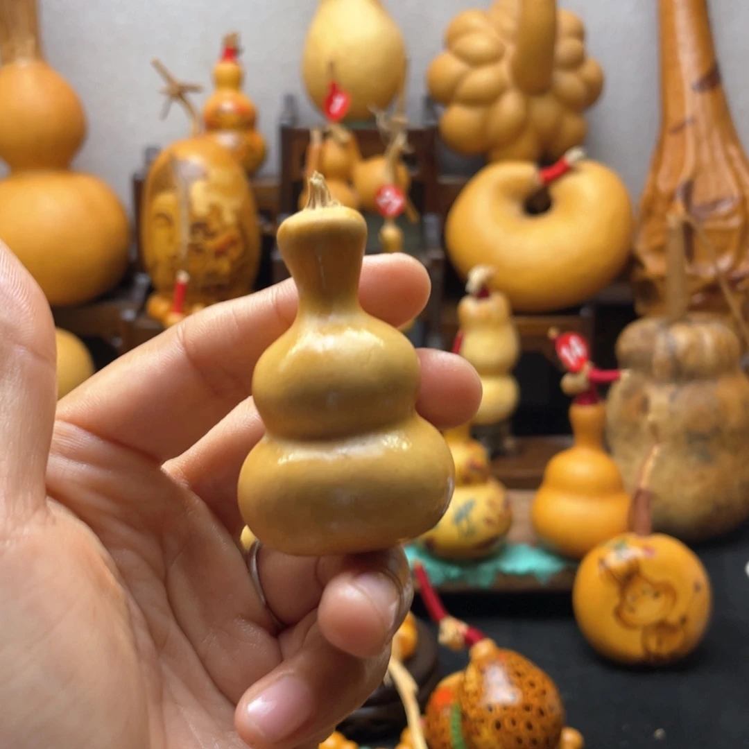 如*大自然的秘密第十节第