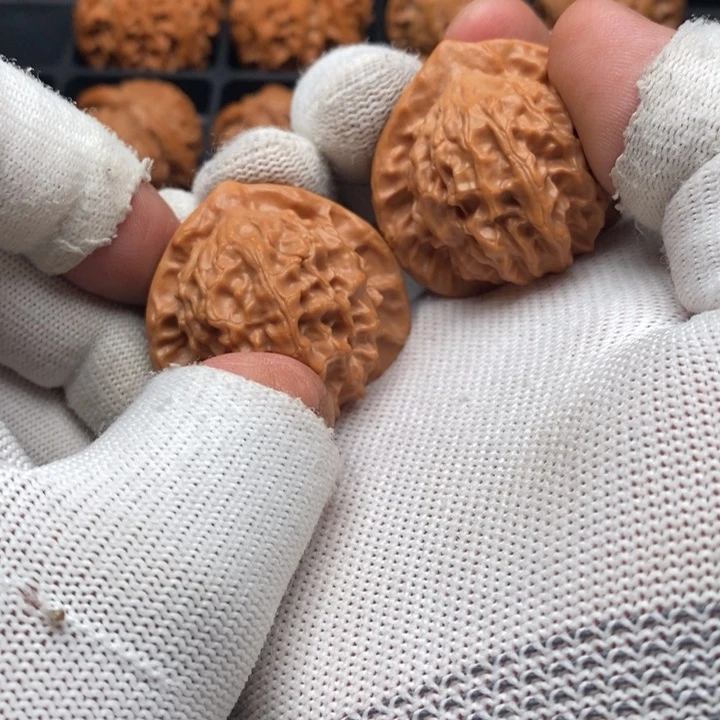 文玩核桃把件六*拉图图