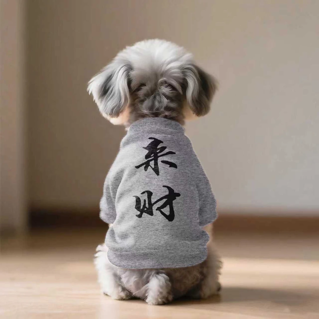 新款狗狗衣服猫咪衣服春秋冬季泰迪博美比熊小型犬猫小狗宠物衣服