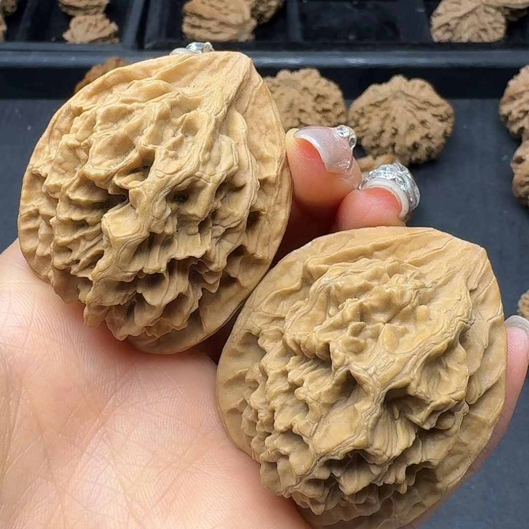 桃木突突突突突突突