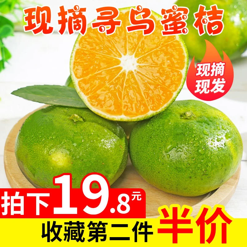 江西寻乌蜜桔青皮蜜橘应季孕妇无籽薄皮桔子酸甜爆汁整箱批发