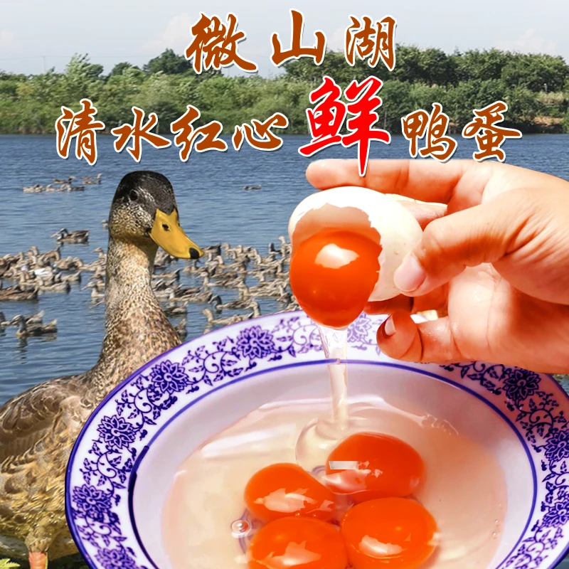 微山湖虾螺红心鲜鸭蛋渔民湖区放鸭新鲜营养顺丰包邮