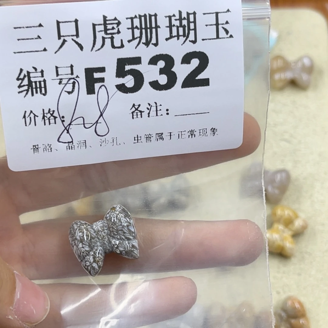 大***行未镶嵌h硅化珊瑚（珊瑚玉）