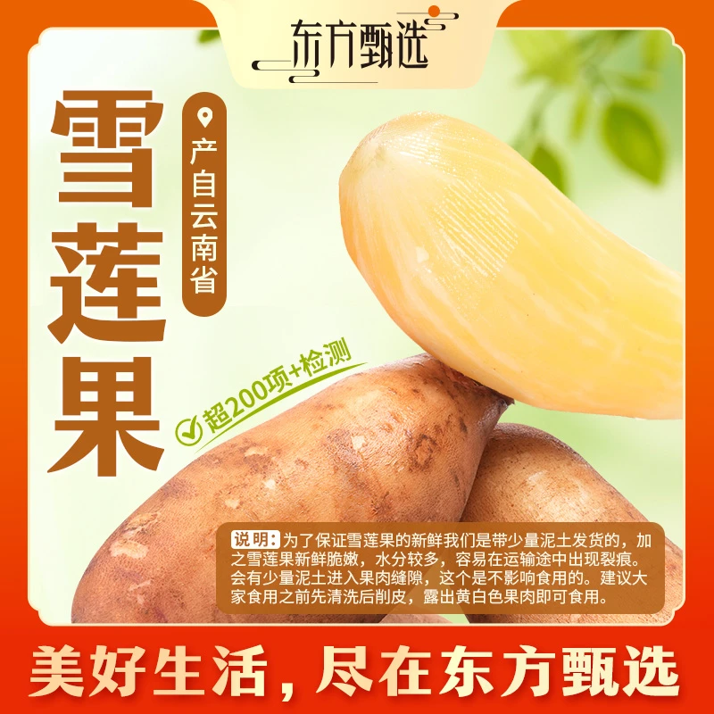 东方甄选自营雪莲果5斤装/箱脆爽清甜水润多汁新鲜水果坏果包赔