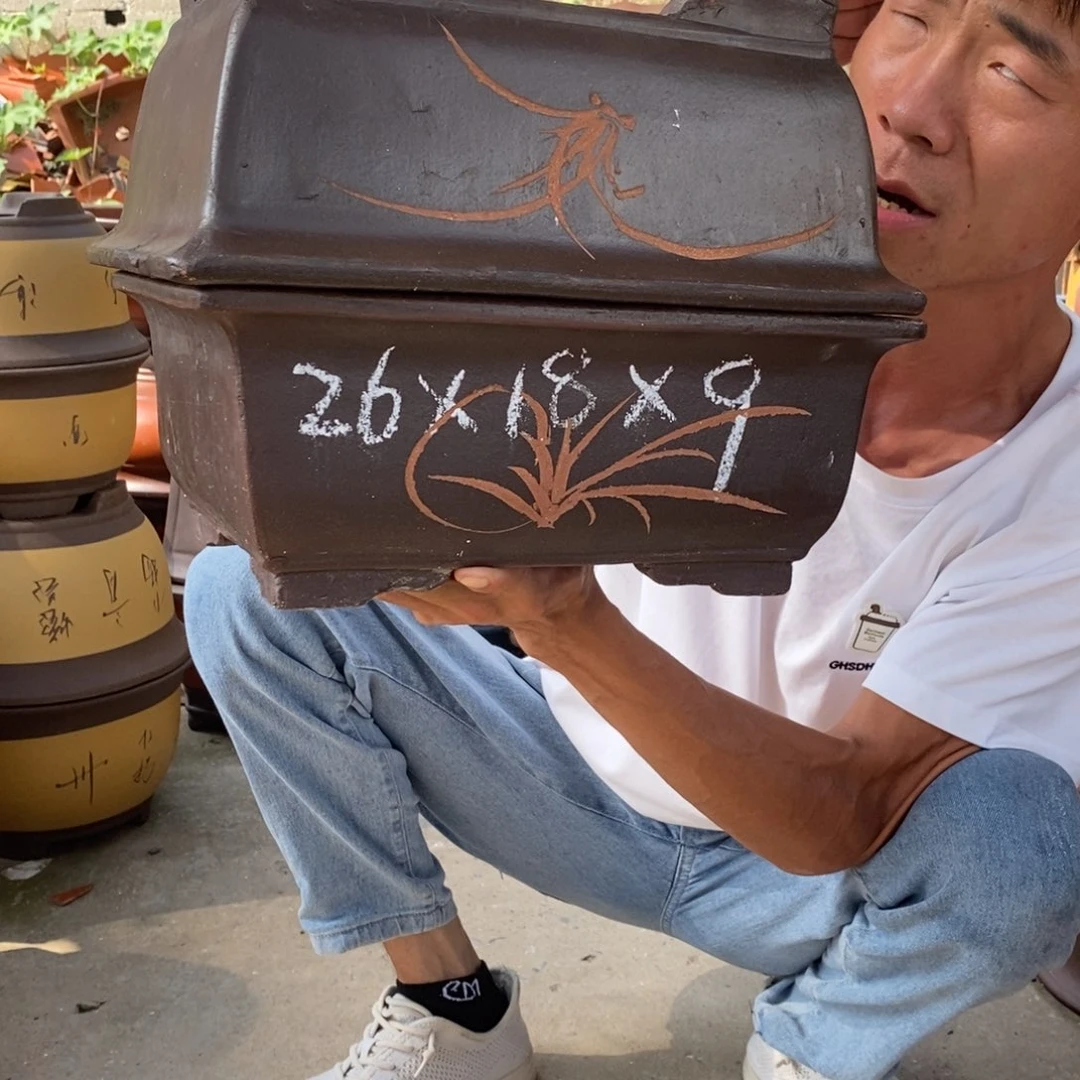 紫砂紫砂紫砂紫砂
