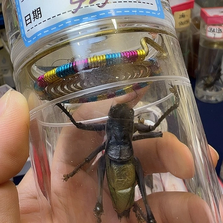 阿*哈哈哈哈哈哈哈哈